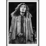 Robert Plant of Led Zeppelin performing at The Forum in Inglewood, California on June 3, 1973 (Craig Wright/Oak Island Gallery)